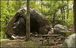 Great camp sites at Cape Ann Camp Site in Gloucester MA